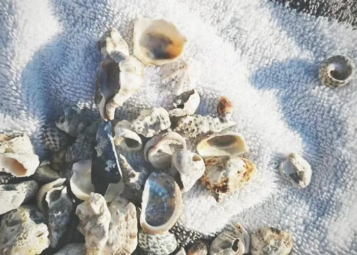 아파트 App Letta Sunset *