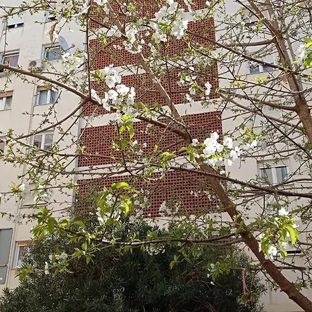 App Letta Sunset Apartman Póla