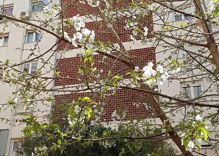 App Letta Sunset Lejlighed Pula